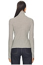 view 3 of 5 Cindy Stripe Jersey Turtleneck in Ivory & Black Stripe