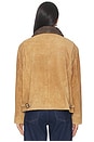 view 3 of 4 Suede Terracotta Work Jacket in Terracotta Brown