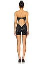 view 5 of 6 Darling Playsuit in Black Leopard