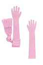 view 1 of 3 Remy Merino Wool Long Gloves in Sunset Pink