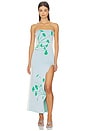 view 1 of 5 Iris Flower Print Maxi Tank Dress in Aqua Green