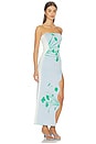view 3 of 5 Iris Flower Print Maxi Tank Dress in Aqua Green