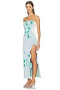 view 4 of 5 Iris Flower Print Maxi Tank Dress in Aqua Green