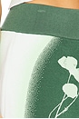 view 6 of 6 Casia Mini Skort in Olive Garden