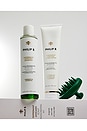 view 3 of 3 Peppermint Avocado Scalp Invigorating Kit in 
