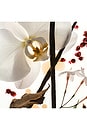 view 4 of 4 VANILLA SKIN EAU DE PARFUM TRAVEL SIZE パフューム in 