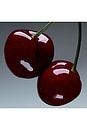 view 3 of 3 Cherry Stem Eau De Parfum 50ml in 
