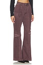 view 2 of 6 Distressed Pant in Burgundy