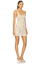 view 2 of 3 Zoie Flower Cover Up Dress in Floret