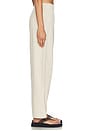 view 3 of 6 Sammy Pant in Sand
