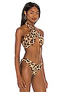 view 2 of 4 HAUT DE MAILLOT DE BAIN TALIE in Leopard