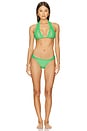 view 4 of 4 Lace Halter Bikini Top in Matcha