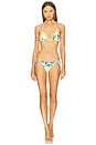 view 4 of 5 Embroidered Triangle Bikini Top in Bluebell