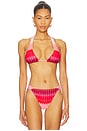 view 1 of 4 Eleanor Halter Bikini Top in Pink Printed