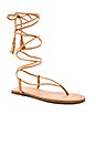 view 2 of 5 SANDALIAS GLADIADOR in Nude