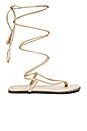 view 1 of 5 Gladiator Sandals in Gold