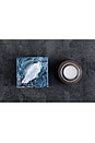 view 9 of 10 Solid Serum in 