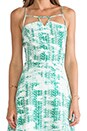 view 5 of 5 Jenson Dress in Cabo Graphic