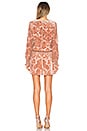 view 3 of 3 Carmindy Dress in Apricot