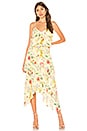 Parker Vanna Dress in Spring Sangria | REVOLVE
