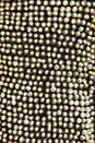 view 4 of 5 Ivory Seed Sequin Jacket in Black