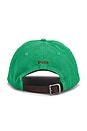 view 2 of 2 CHAPEAU in Summer Emerald