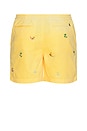 view 2 of 6 Prepster Short in Beach Yellow
