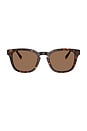 view 1 of 2 Square Sunglasses in Brown
