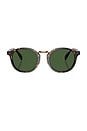 view 1 of 3 Circular Sunglasses in Shiny Dark Havana $ Bottle Green