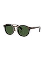 view 2 of 3 Circular Sunglasses in Shiny Dark Havana $ Bottle Green