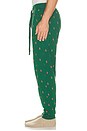 view 2 of 5 PANTALÓN in New Forest