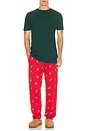 view 5 of 5 Knit Bear Printed PJ Pant in RL2000 Red