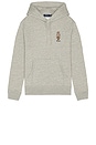 view 1 of 5 Novelty Heritage Bear Hoodie in Loft Heather