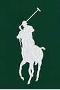 view 3 of 5 Big Pony Baseball Jacket in Tennis Green