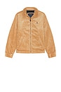 view 4 of 5 8 Wale Corduroy Wynton Windbreaker in Vintage Khaki