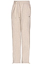 view 4 of 4 PANTALÓN ATHLETIC in Light Sport Heather