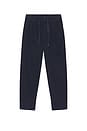 view 4 of 5 Garment Dyed Corduroy Prepster Pleated Pant in Collection Navy