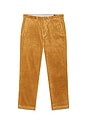 view 1 of 6 PANTALONES in Golden Brown