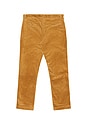 view 2 of 6 PANTALONES in Golden Brown