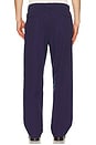 view 3 of 6 PANTALON in Spring Navy