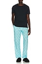 view 4 of 5 PANTALON in Hammond Blue