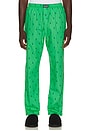 view 1 of 5 PANTALÓN in Vineyard Green