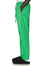 view 2 of 5 PANTALÓN in Vineyard Green