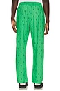 view 3 of 5 PANTALÓN in Vineyard Green