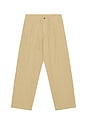 view 5 of 5 PANTALÓN in Coastal Beige