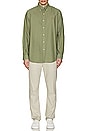 view 5 of 5 Long Sleeve Oxford Classic Shirt in Sage Green