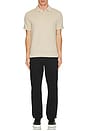 view 5 of 5 Short Sleeve Loopback Terry Polo Sweatshirt in Stonewear Grey