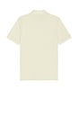 view 2 of 5 Mineral Dyed Mesh Polo in Natural