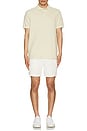 view 5 of 5 Mineral Dyed Mesh Polo in Natural