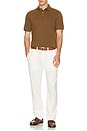 view 5 of 5 Short Sleeve Mesh Polo in Nature Brown
